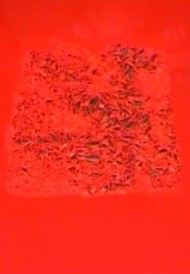Usuwanie starych farb - środek dk20s