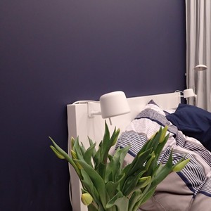 Farba akrylowa do ścian Deco Acryl