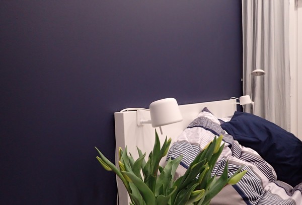 Farba akrylowa do ścian Deco Acryl