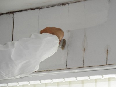 Grunt na plamy Shellac Prime-All