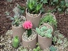 Spray imitacja kamienia Rust-Oleum