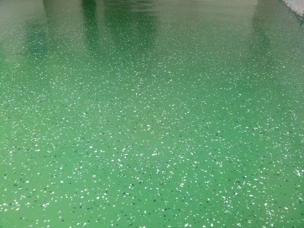 Jak stosować płatki na posadzce? Płatki dekoracyjne na posadzce