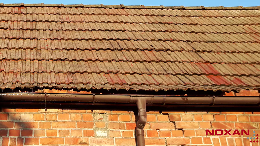 Wyczyszczone dachówki podczas schnięcia