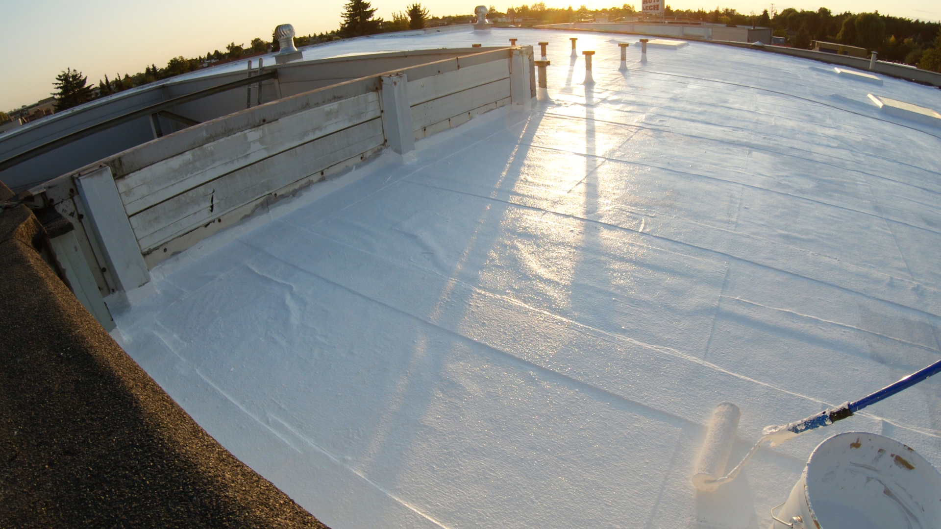 aplikacja roof white