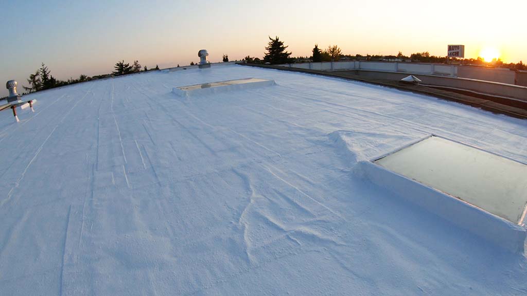 Dach z papy Roof White