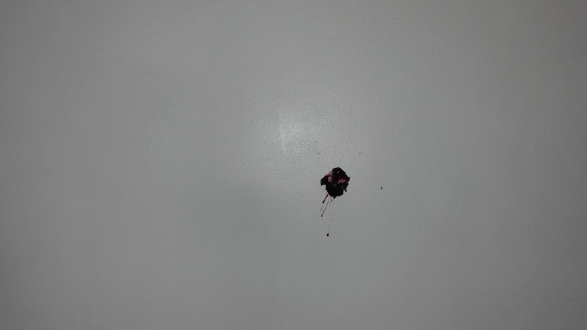 Test zmywalności - gif