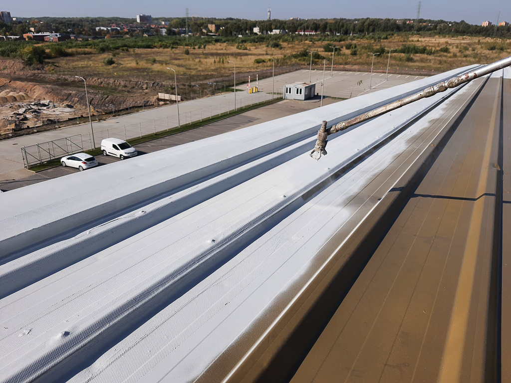 Odnawianie dachůwki za pomocĻ lakieru