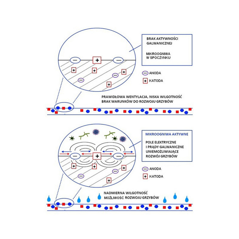 Galvi antifungal paint Galvi antifungal paint