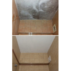 Galvi antifungal paint Galvi antifungal paint