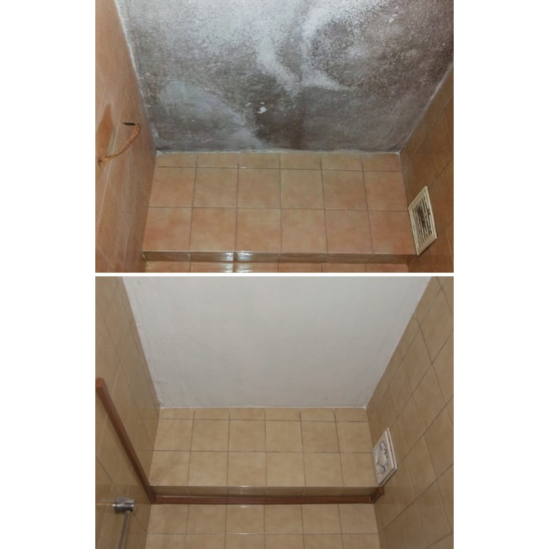 Galvi antifungal paint Galvi antifungal paint