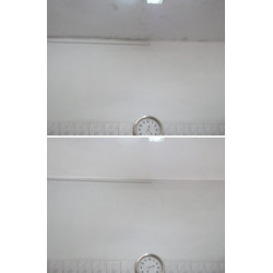 Galvi antifungal paint Galvi antifungal paint