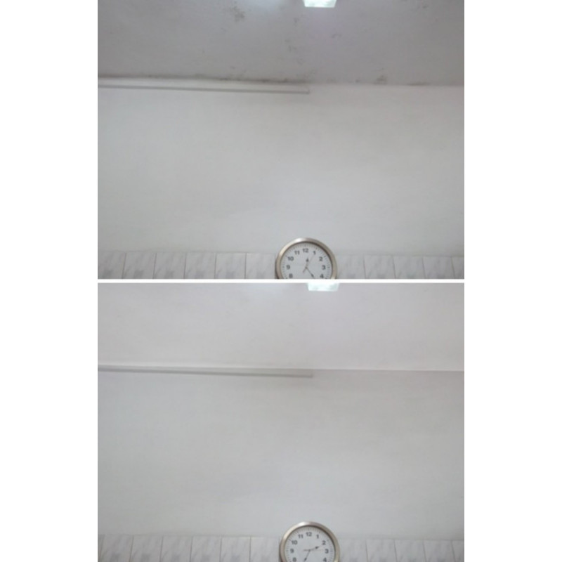 Galvi antifungal paint Galvi antifungal paint