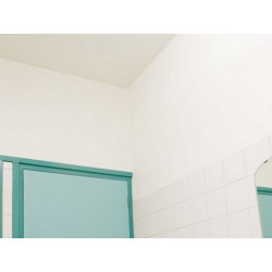 Galvi antifungal paint Galvi antifungal paint