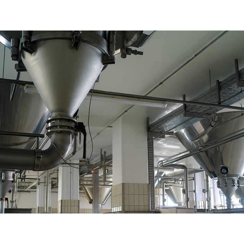 Galvi antifungal paint Galvi antifungal paint