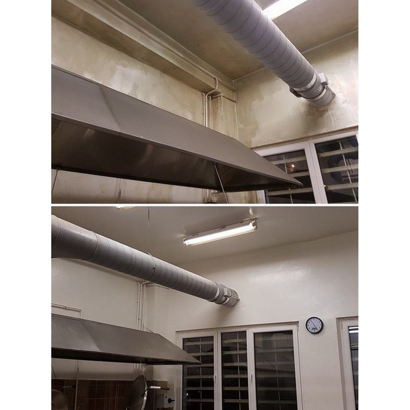 Galvi antifungal paint Galvi antifungal paint