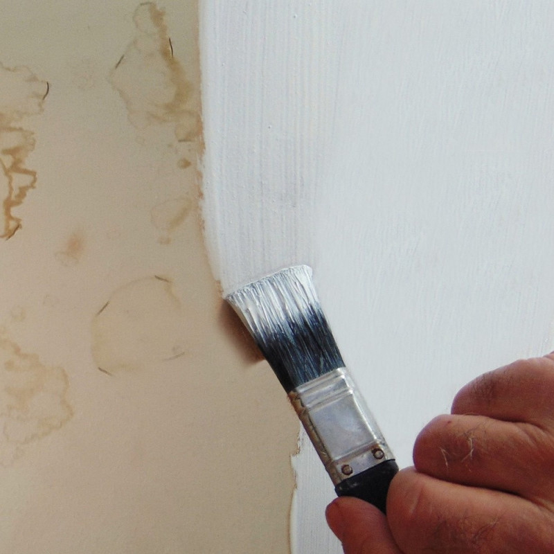 Farba przeciw wilgoci Anti-Damp Farba przeciw wilgoci Anti-Damp