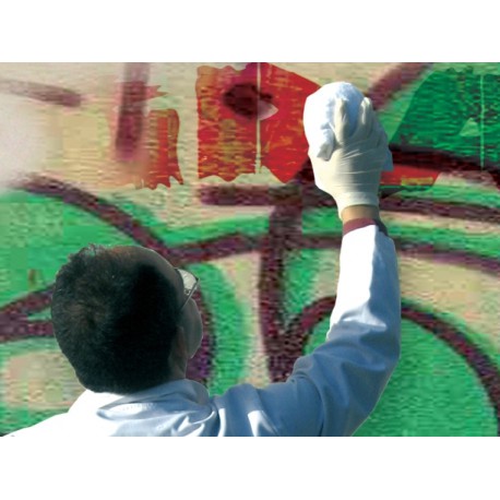 Środek do usuwania graffiti Scalp Anti-graffiti 49