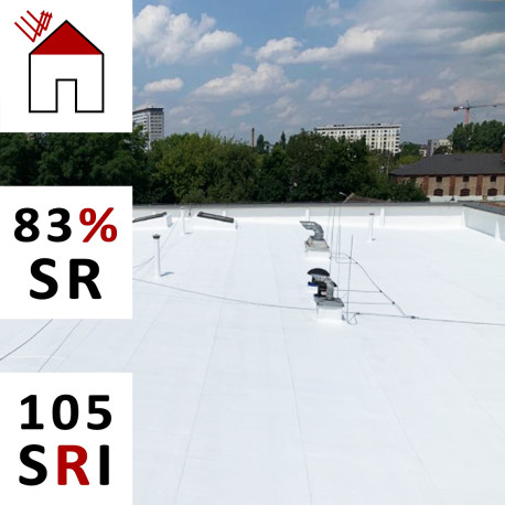 Farba odbijająca ciepło RD-Roof White