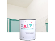 Farba przeciwgrzybicza Galvi