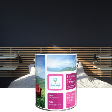 Deco Acryl interior paint