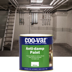 Anti-Damp Paint Anti-Damp Paint