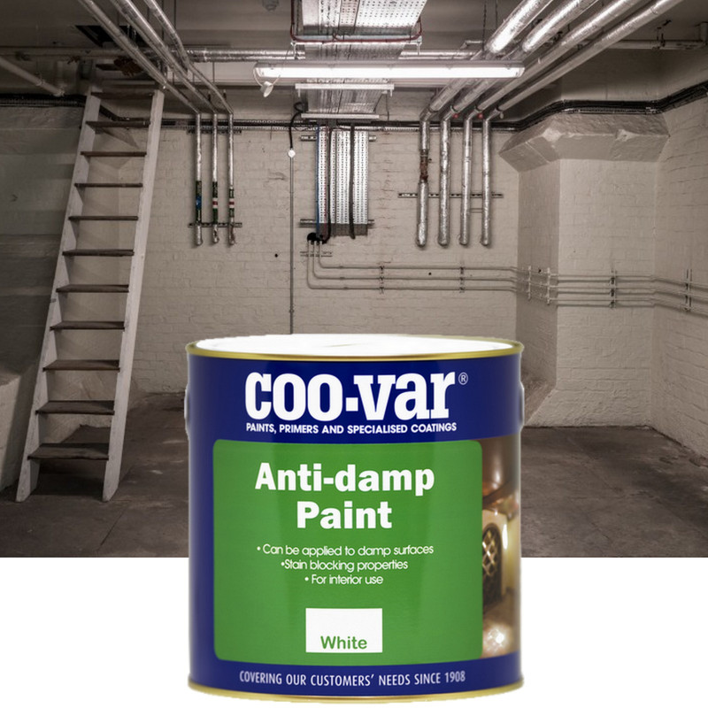Anti-Damp Paint Anti-Damp Paint