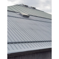 Sealing of metal roofs - Elastometal Sealing of metal roofs - Elastometal