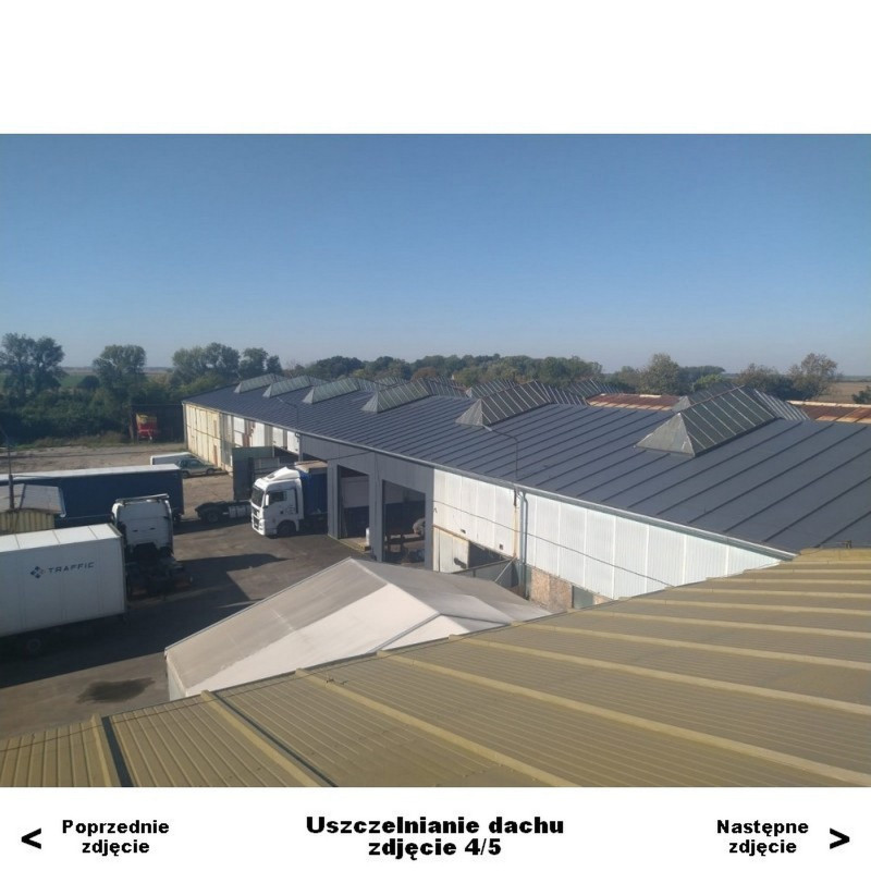 Sealing of metal roofs - Elastometal Sealing of metal roofs - Elastometal