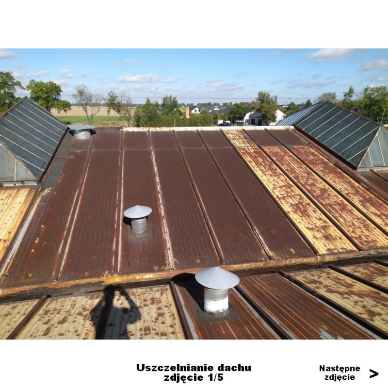 Sealing of metal roofs - Elastometal Sealing of metal roofs - Elastometal