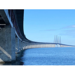 Paint for steel structures, anti-corrosive, fast-drying - Monoguard Paint for steel structures, anti-corrosive, fast-drying - Monoguard