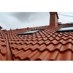 Tile paint - Roof Acryl Tile paint - Roof Acryl