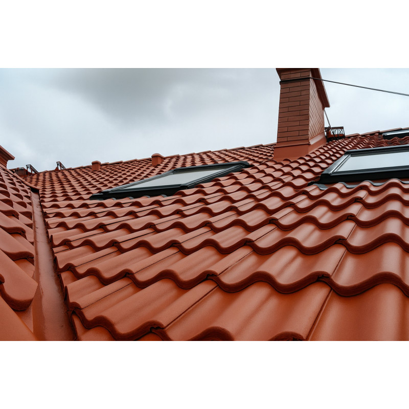 Tile paint - Roof Acryl Tile paint - Roof Acryl