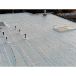 Thermoflex roof heat reduction paint Thermoflex roof heat reduction paint