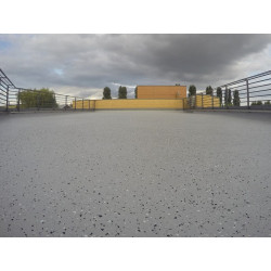 Varnish for terraces and balconies - Monovar PU Varnish for terraces and balconies - Monovar PU