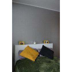 RD-Aquafinish metallic paint RD-Aquafinish metallic paint