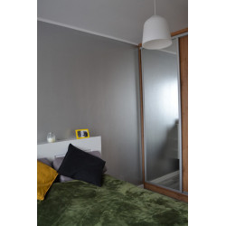 RD-Aquafinish metallic paint RD-Aquafinish metallic paint