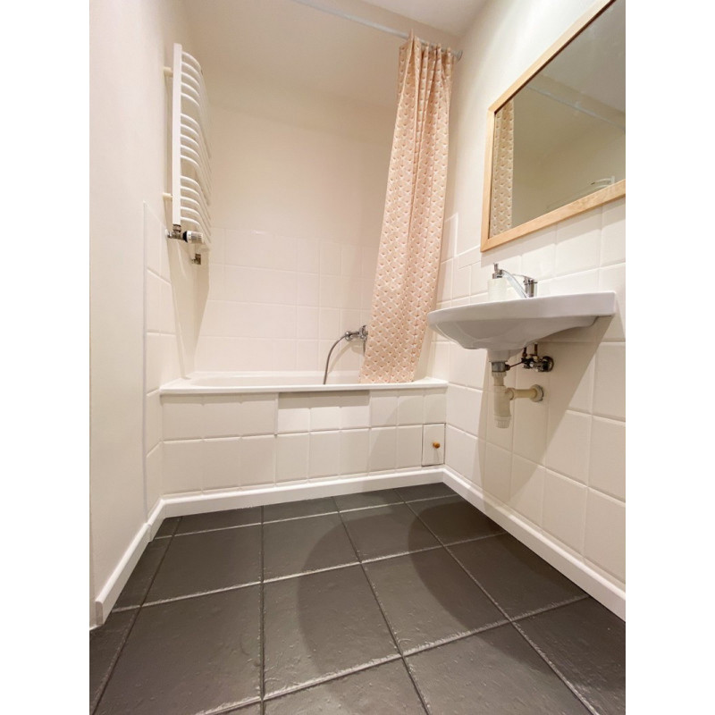 RD-Aquafinish metallic paint RD-Aquafinish metallic paint