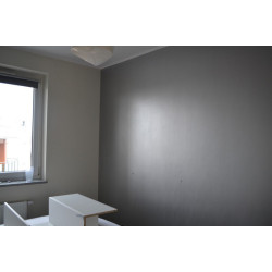 Metaliczna farba RD-Aquafinish Metaliczna farba RD-Aquafinish