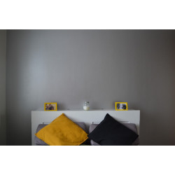 RD-Aquafinish metallic paint RD-Aquafinish metallic paint