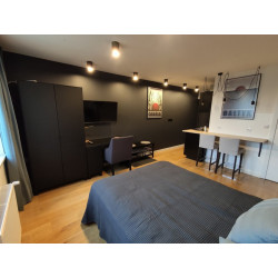 Varnish paint - matte, satin, gloss - RD-Aquatop PU Varnish paint - matte, satin, gloss - RD-Aquatop PU