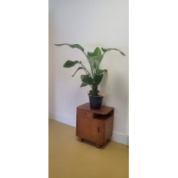 Varnish paint - matte, satin, gloss - RD-Aquatop PU Varnish paint - matte, satin, gloss - RD-Aquatop PU