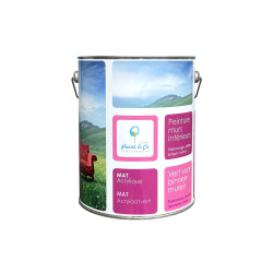 Deco Acryl interior paint Deco Acryl interior paint