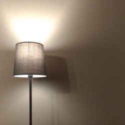 Farba do wnętrz Deco Acryl Farba do wnętrz Deco Acryl