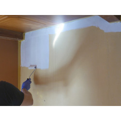 Shellac Prime-All Stain Primer Shellac Prime-All Stain Primer