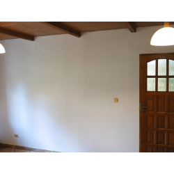 Podkład szelakowy na plamy Shellac Prime-All Podkład szelakowy na plamy Shellac Prime-All