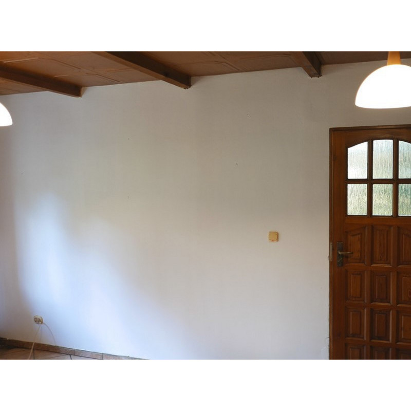 Shellac Prime-All Stain Primer Shellac Prime-All Stain Primer