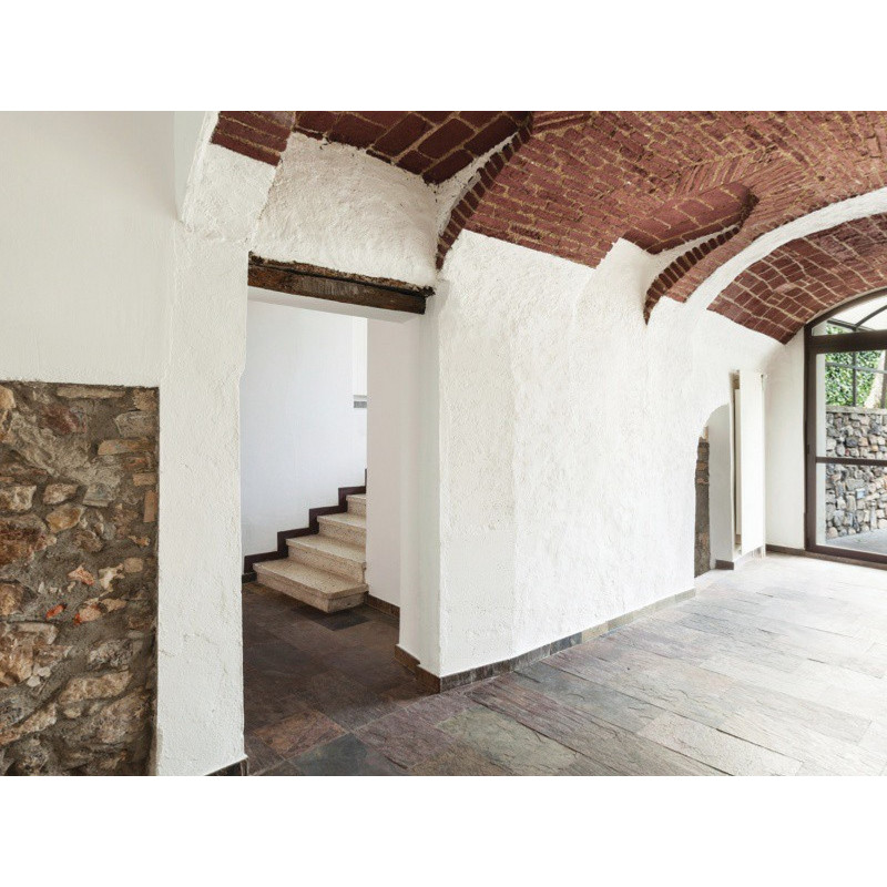 Anti-Damp Paint Anti-Damp Paint