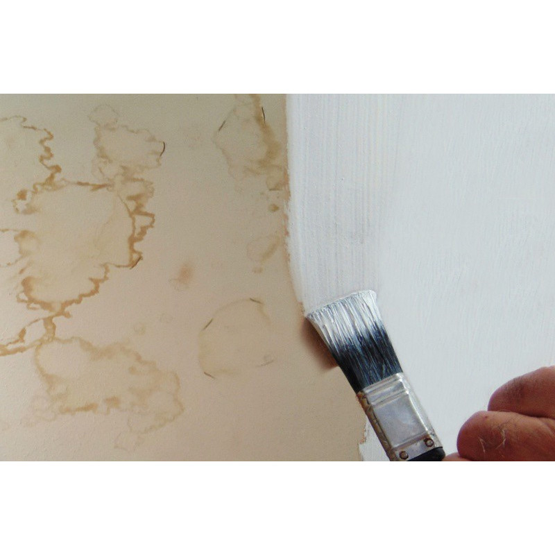 Anti-Damp Paint Anti-Damp Paint