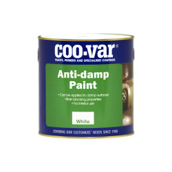 Anti-Damp Paint Anti-Damp Paint