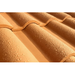 Scalpfuge 35 clear impregnate Scalpfuge 35 clear impregnate